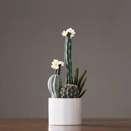 Nordic Faux Plant Cactus Decorative Potted Accent