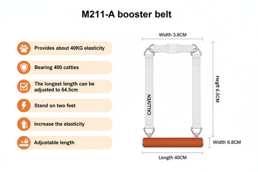 Pull-up Assist Strap